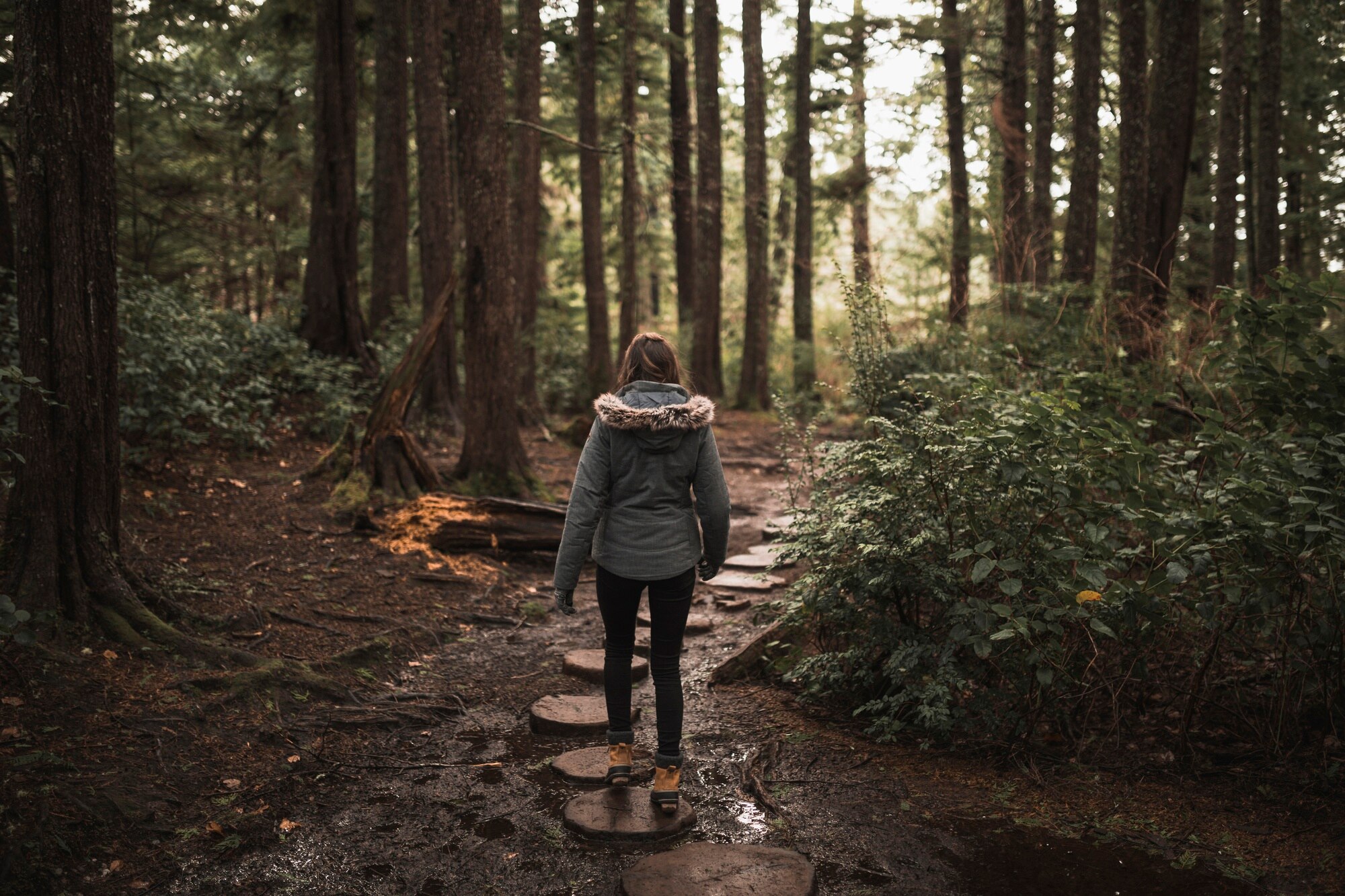 Persona caminando en bosque